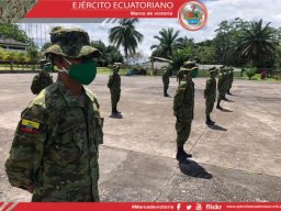 19 BS cptos 1